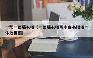 一菜一面墙衣柜（一面墙衣柜写字台书柜拒一体效果图）