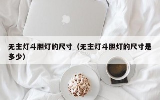 无主灯斗胆灯的尺寸（无主灯斗胆灯的尺寸是多少）