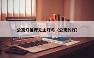 公寓灯推荐无主灯吗（公寓的灯）