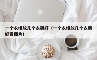 一个衣柜放几个衣架好（一个衣柜放几个衣架好看图片）