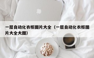 一层自动化衣柜图片大全（一层自动化衣柜图片大全大图）