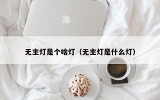 无主灯是个啥灯（无主灯是什么灯）