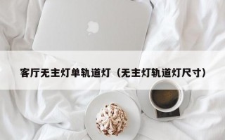 客厅无主灯单轨道灯（无主灯轨道灯尺寸）